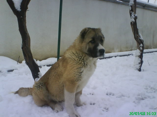 DSC00774.JPG