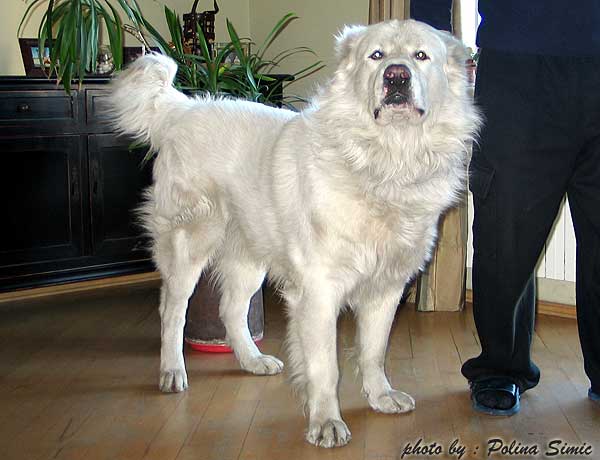 185_8553_1_.jpg