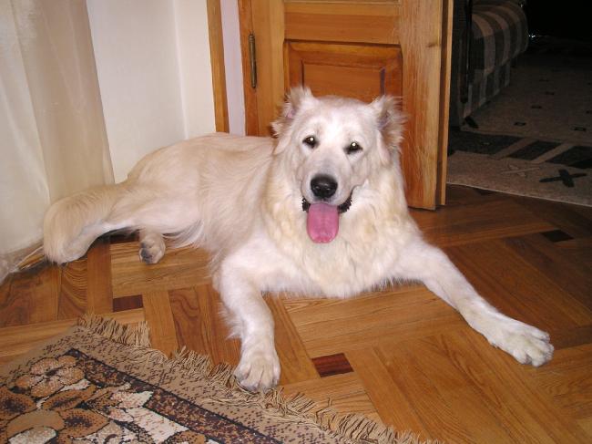 PEimg8163776_02.jpg