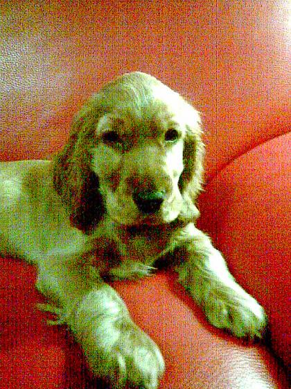 Photo009.jpg