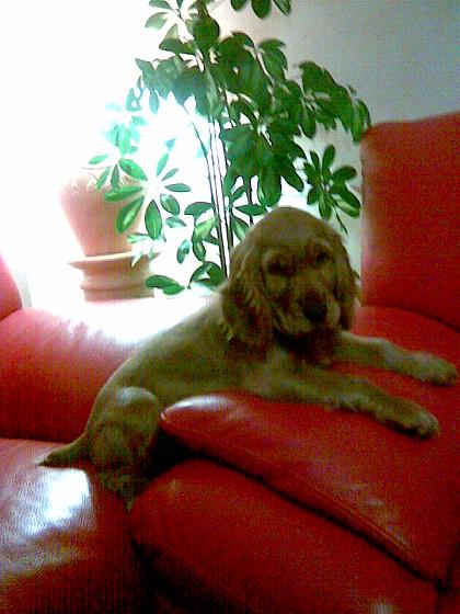 Photo019.jpg