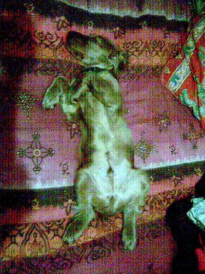 Photo071.jpg