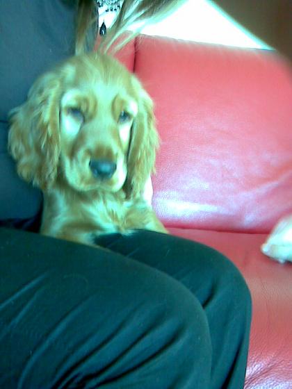 Photo097.jpg