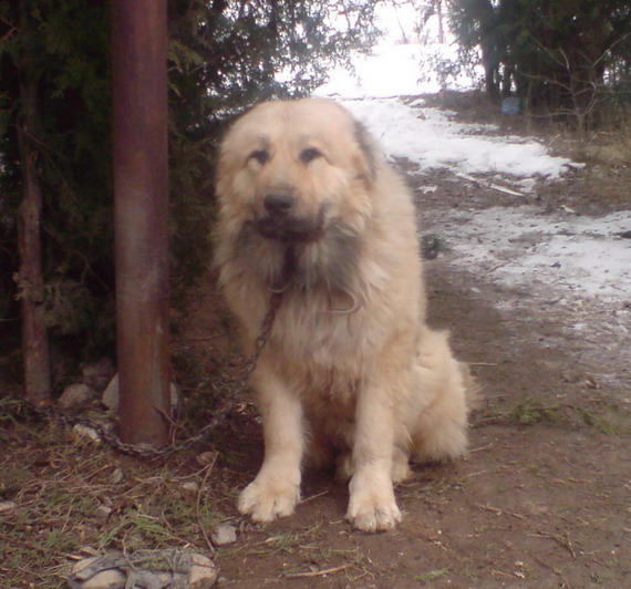 DSC00006.jpg