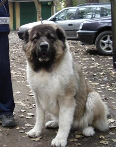 balua1.JPG