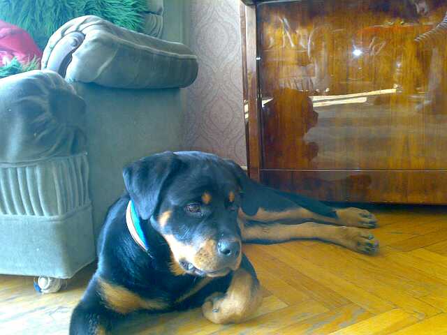 07022008210_small.jpg