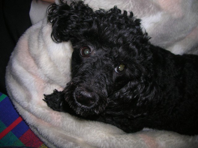 DSCN0645.JPG