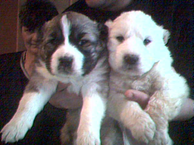 Picture_012.jpg