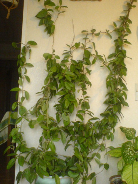 DSC01830.JPG