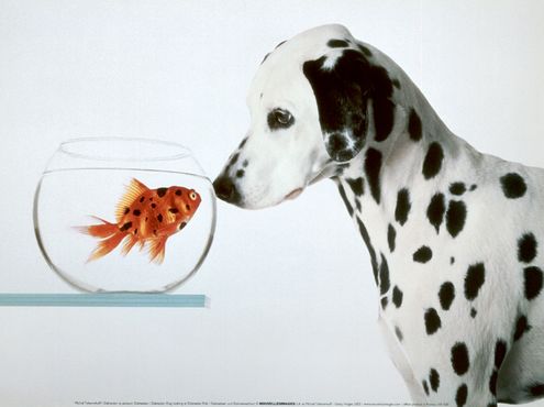 DalmatianArt.jpg