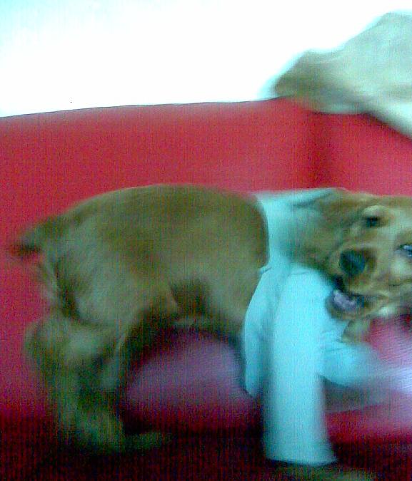 Photo173.jpg