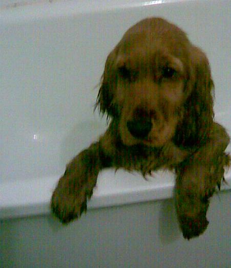 Photo215.jpg