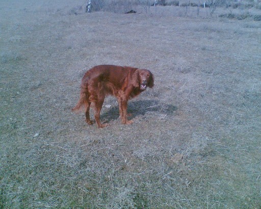 Image004.jpg