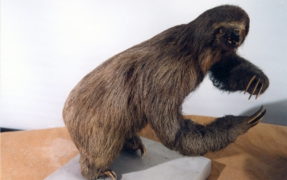 i035.jpg