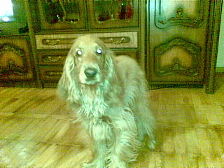 05032008_003_.jpg