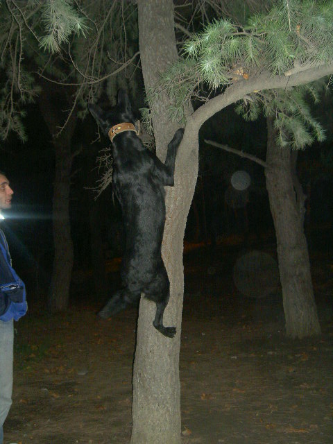 PICT2582.JPG