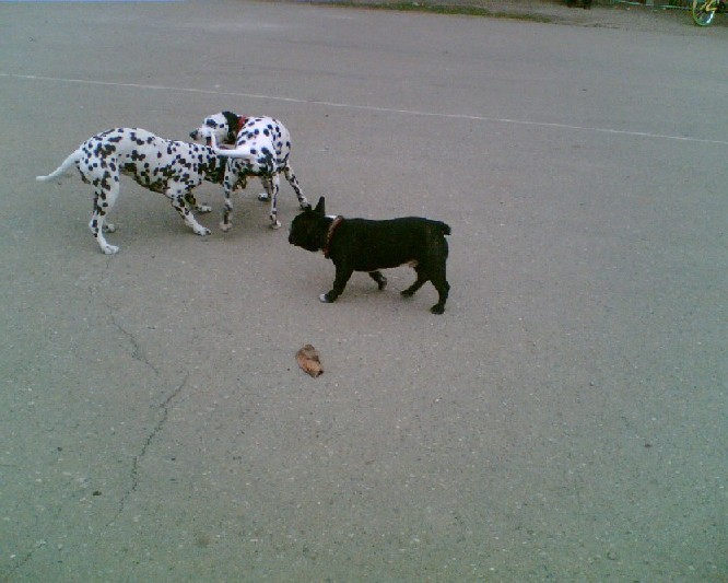 Image017.jpg