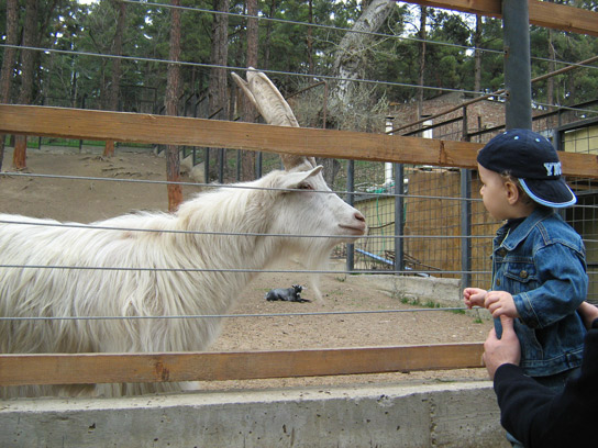 23_marti_2008_zoo_009.jpg