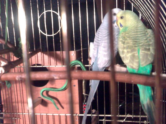 25032008189__640x480_.jpg