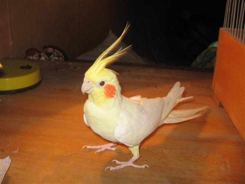 normal_IMG_0489_________________.jpg