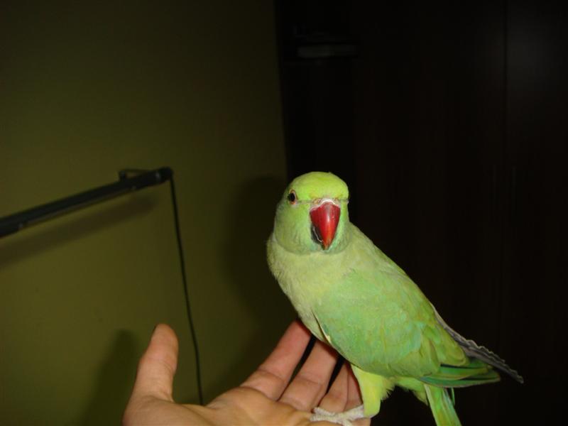 DSC02498_________________.JPG
