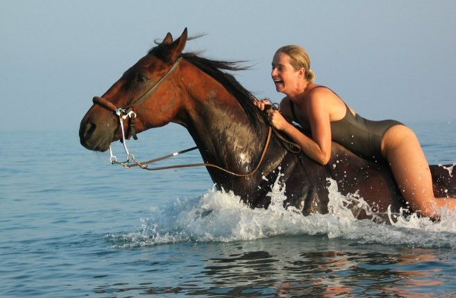 Swimming_with_horses.JPG