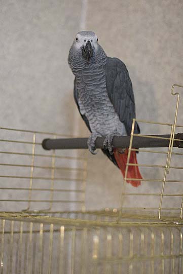 IMG_5096.jpg
