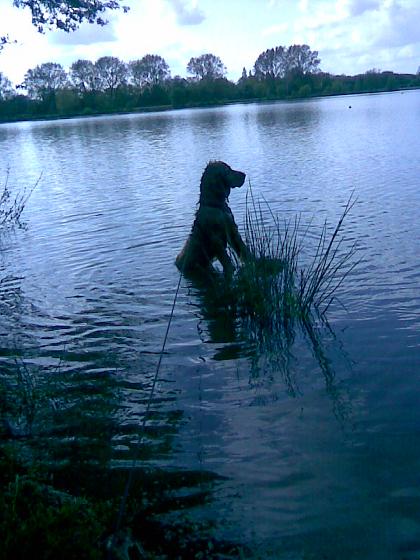 Photo029.jpg