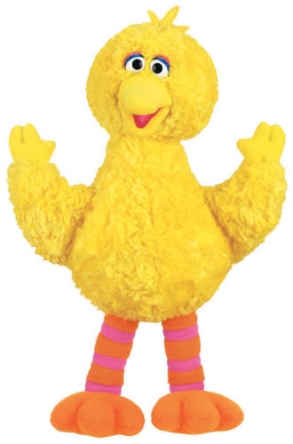 Big_Bird_14.jpg