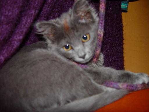 DSC08536.JPG