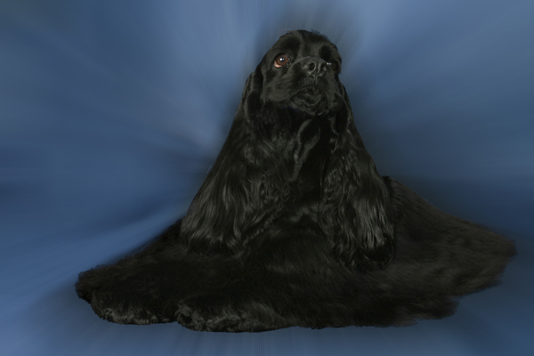 photo20.jpg