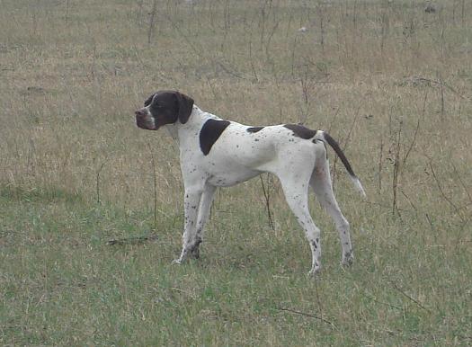 post_72_1209507766.jpg