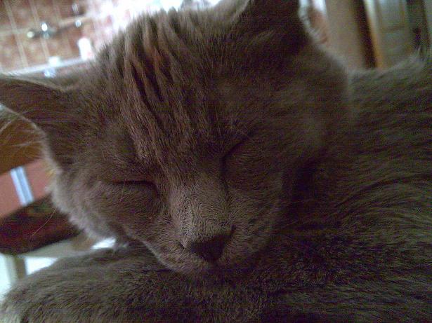 Image011.jpg