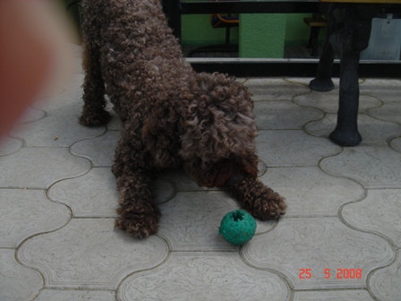 DSC05607.JPG