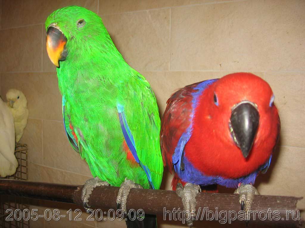 IMG_0138.jpg