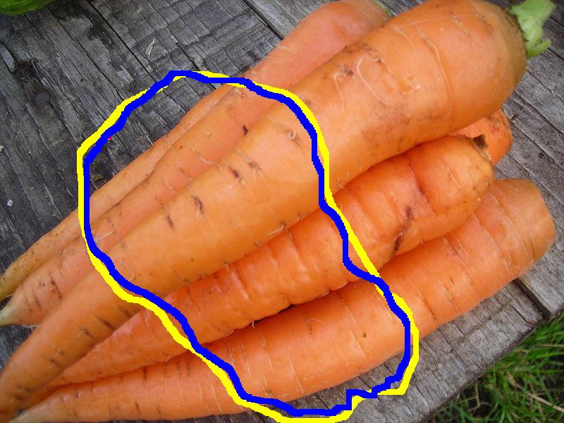 800px_Carrots.jpg