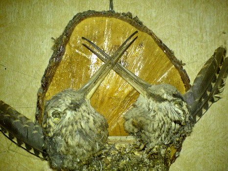 DSC00314.jpg