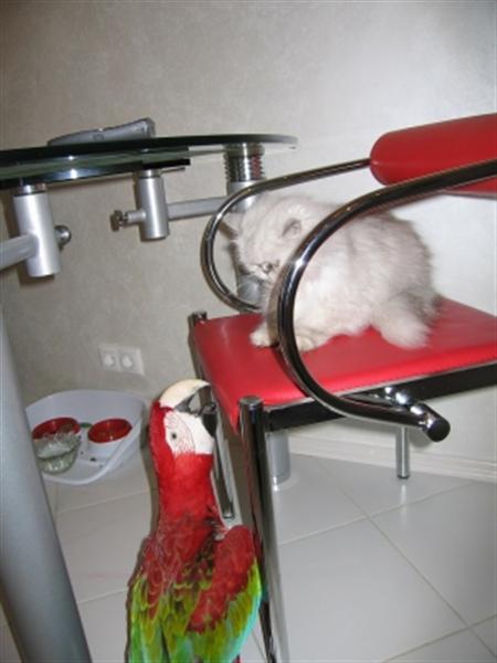 normal__C8_E7_EE_E1_F0_E0_E6_E5_ED_E8_E5_20147_________________.jpg