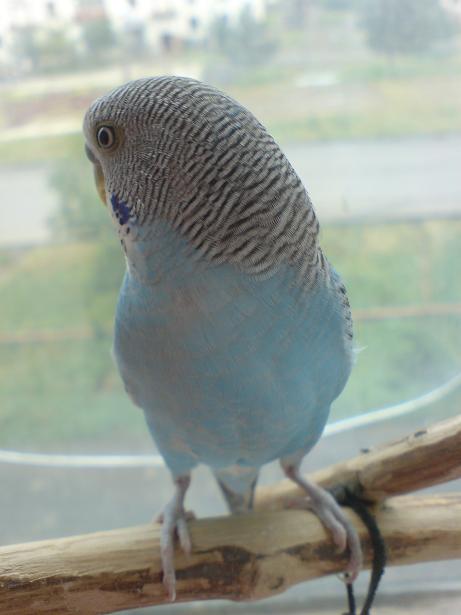 DSC00134.JPG