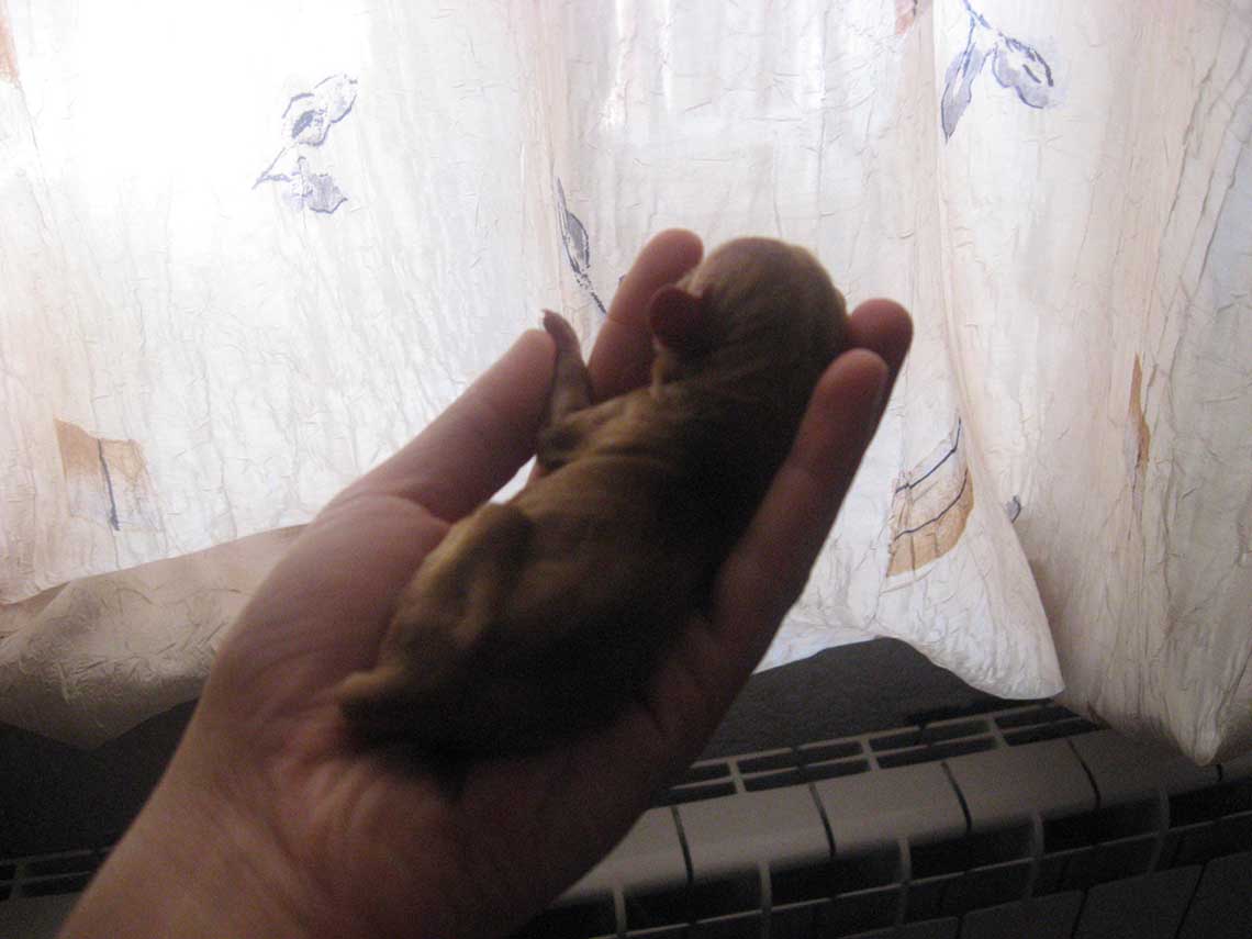 222.jpg