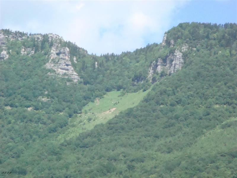 ASTU_037_________________.jpg