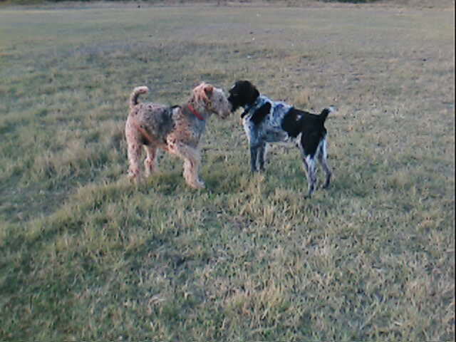 Picture_016.jpg