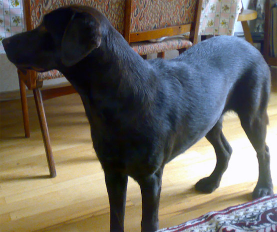 18062008386_copy.jpg