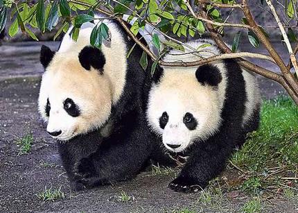 zoo_wideweb__430x307.jpg