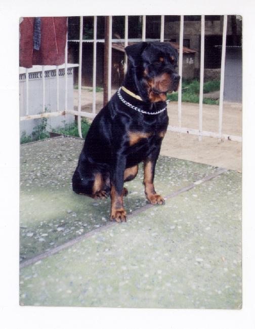 Berti_Graff.jpg