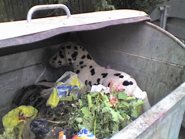 31_07_08_1516.jpg