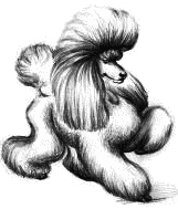 poodle_20nice.gif