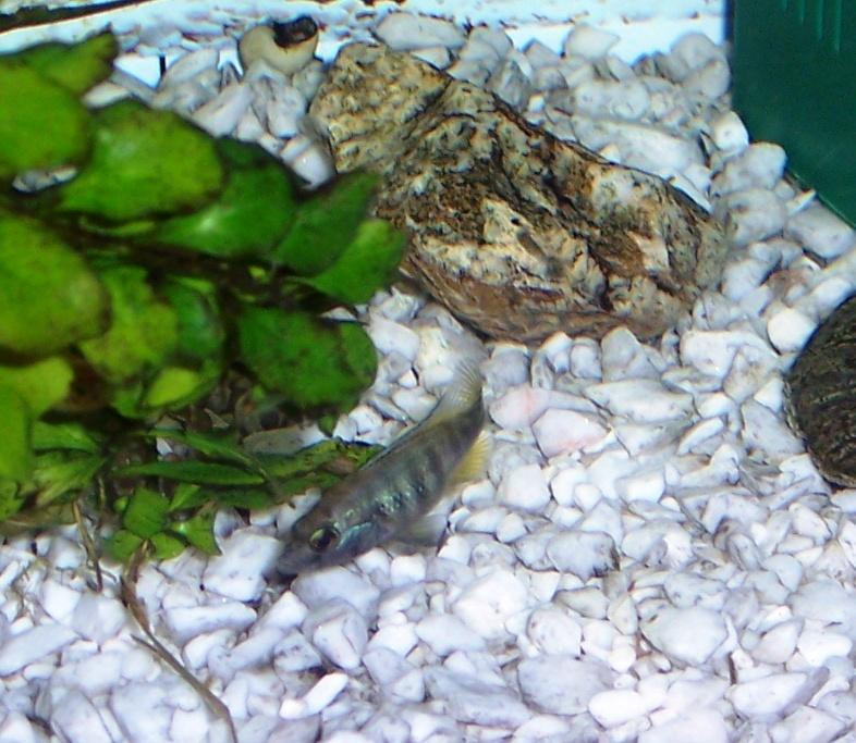 100_4302.JPG