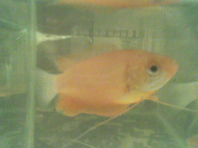 Image002.jpg