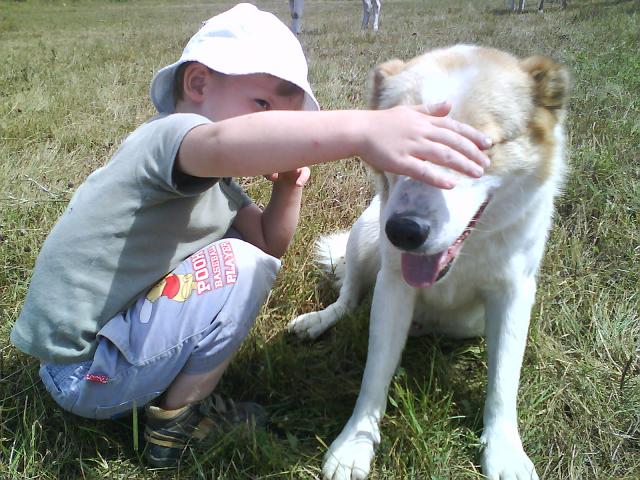 Picture_035.jpg